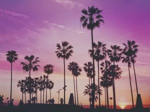 How to spend 3 days in Los Angeles - Venice Beach