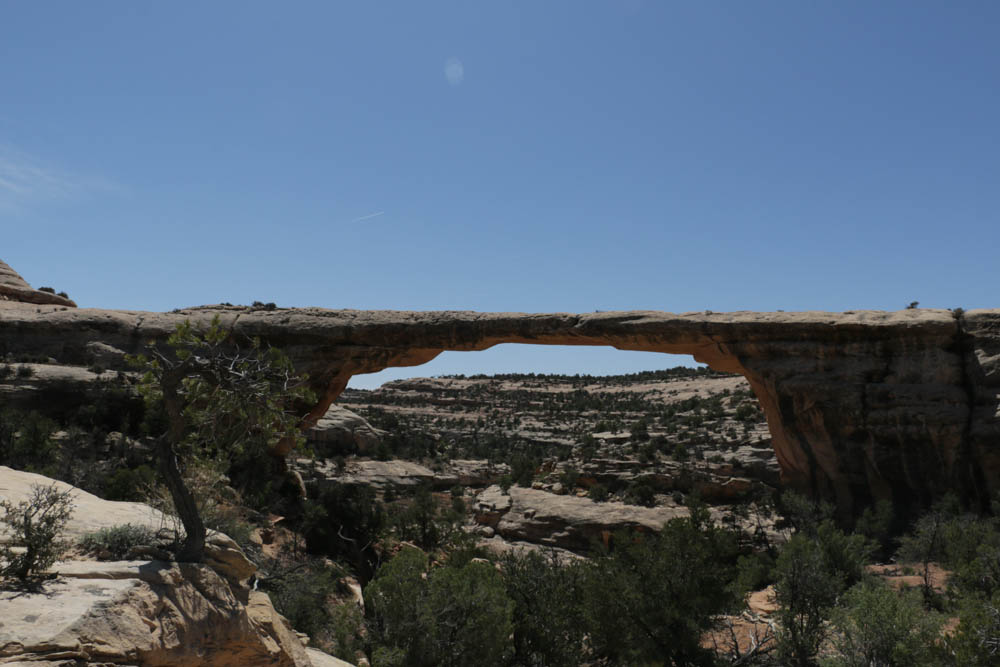 Mighty 5 Utah's Top National Parks