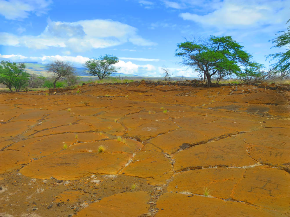 Along the Kona Coast you can find a few different sites that offer some serious archaeological and historic importance for Hawaiians. Both of these are definitely worth a couple of hours each as you can learn about Hawaiian history and actually see structures. 