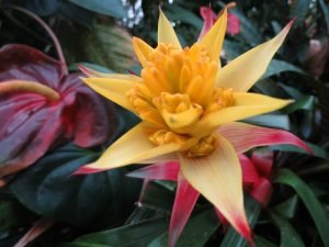 suggested itinerary visiting the big island hawaii