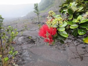 suggested itinerary for visiting the big island hawaii