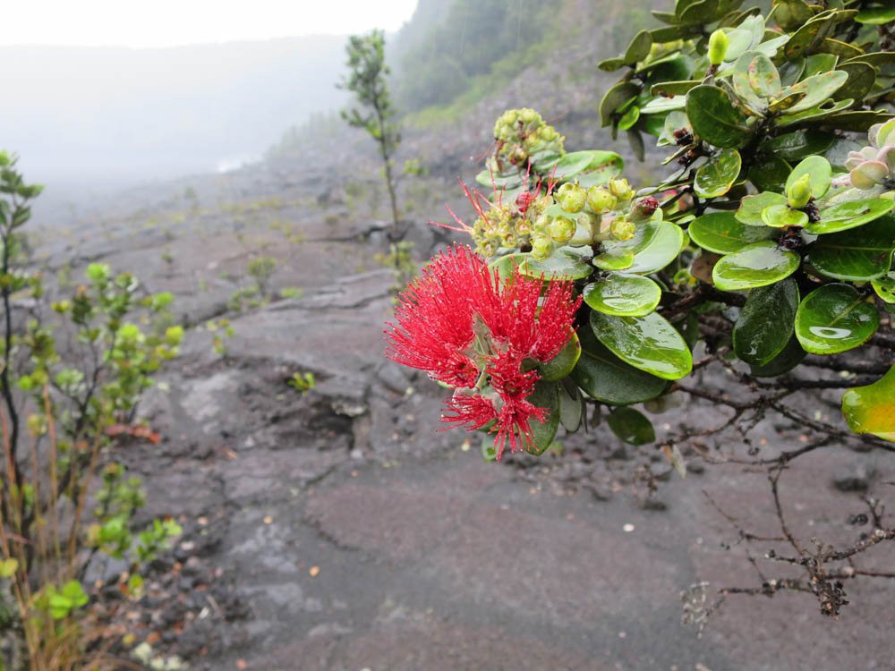 suggested itinerary visiting the big island hawaii