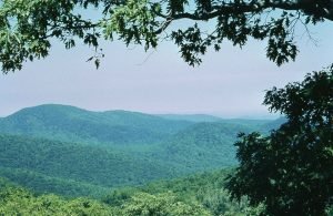 Shenandoah