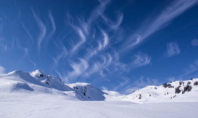 La Tania is one of the best holiday ski resorts in France