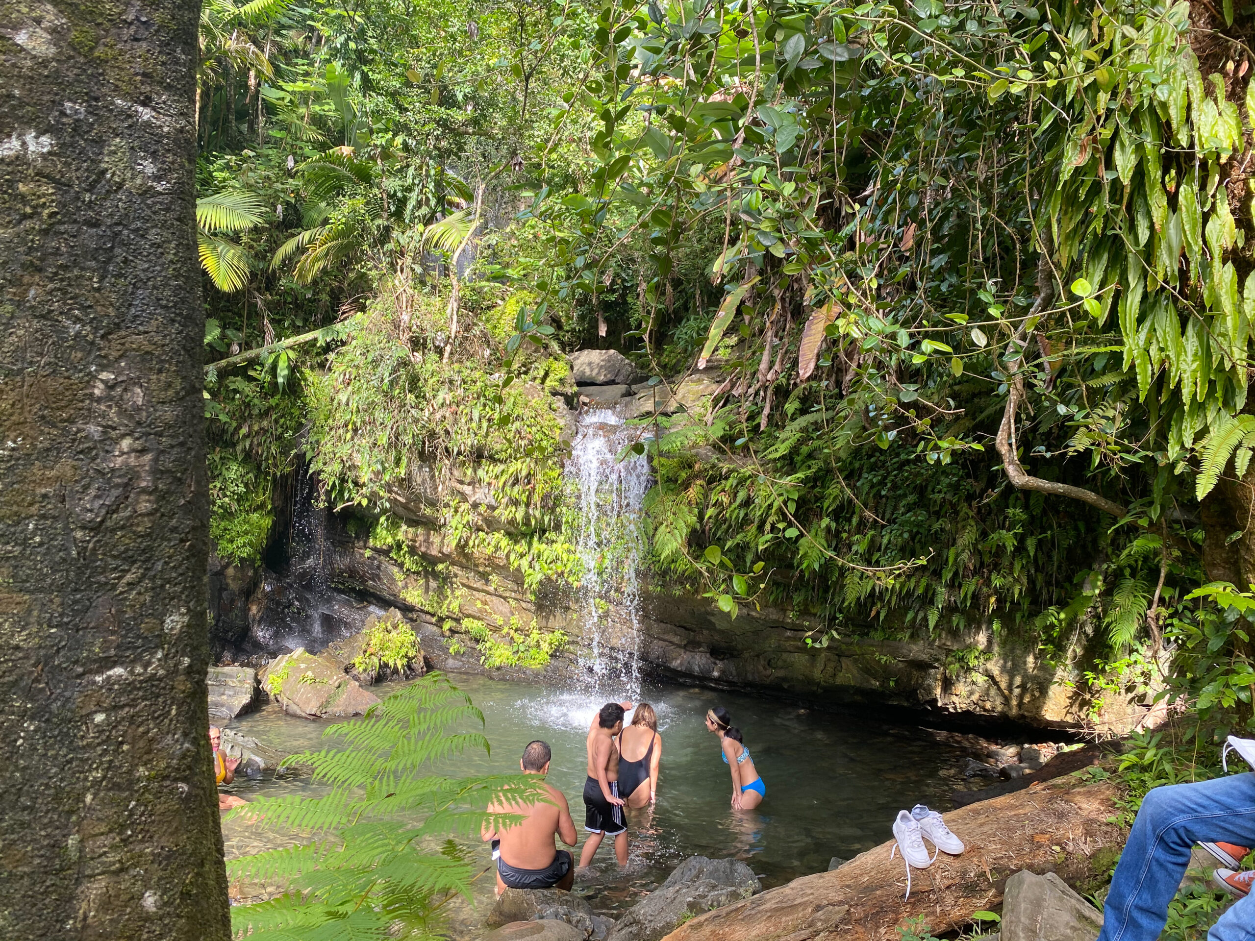 El Yunque Rainforest