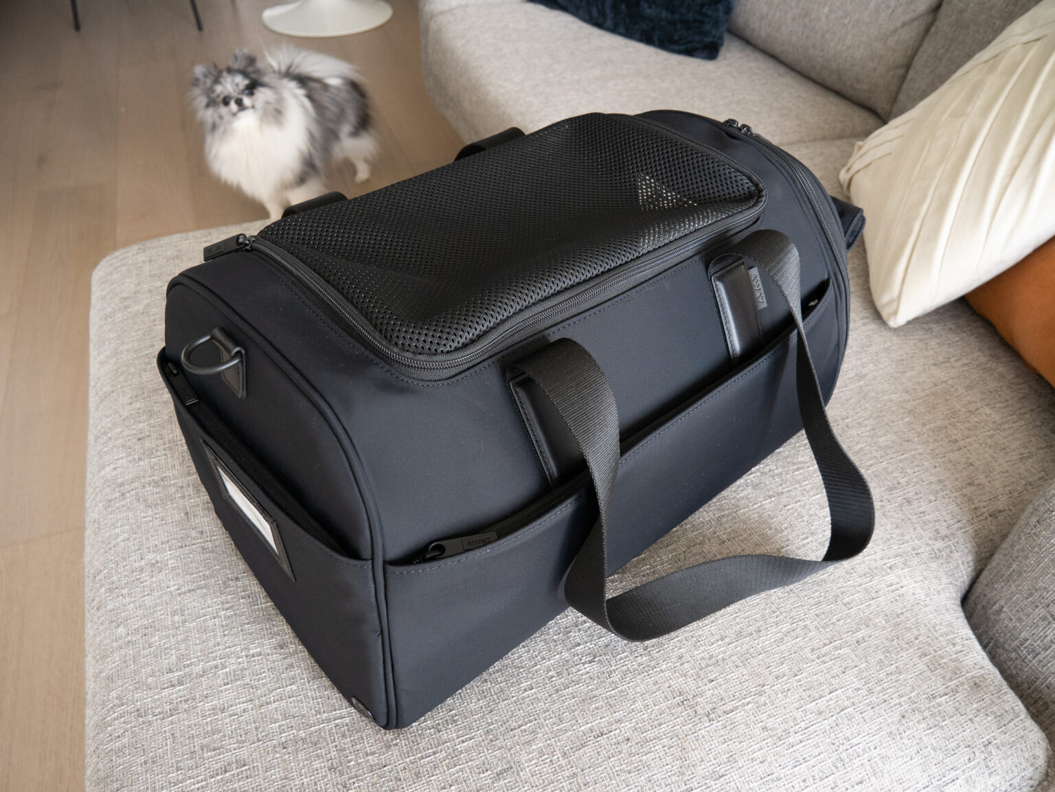 Away Pet Carrier Review Best Dog Carrier for the Airplane? American