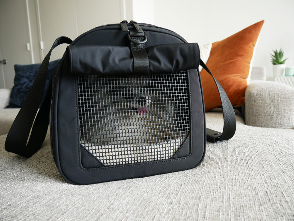 Away Pet Carrier Review: Best Dog Carrier for the Airplane? - American  Travel Blogger