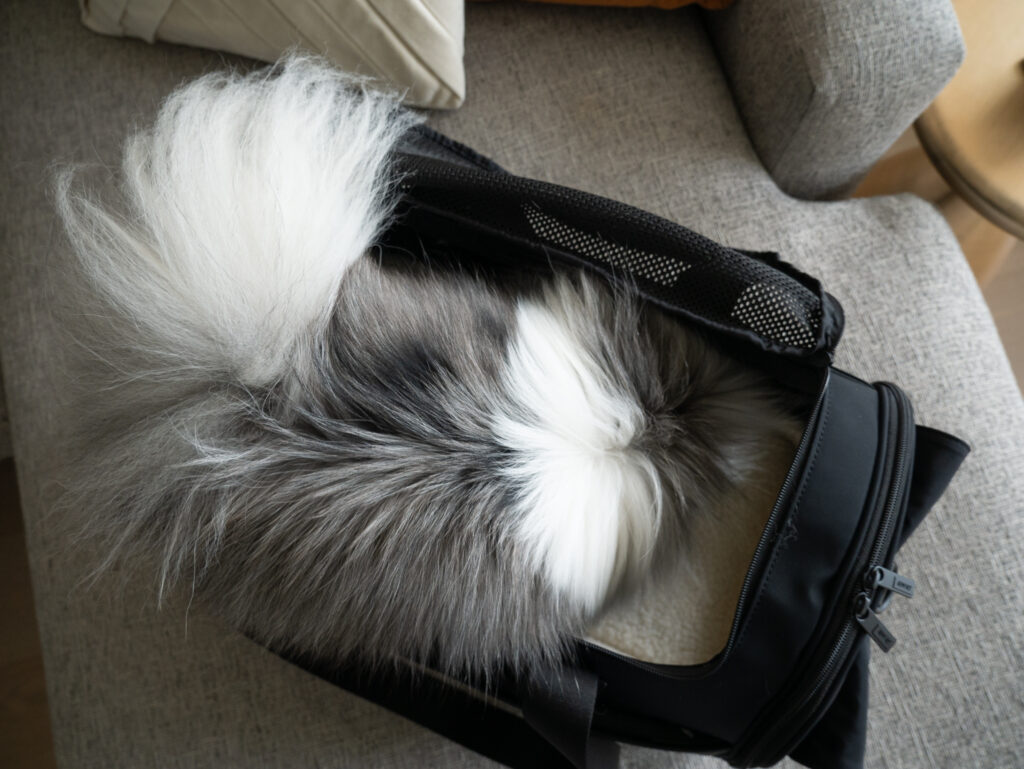 The Pet Carrier Away Review