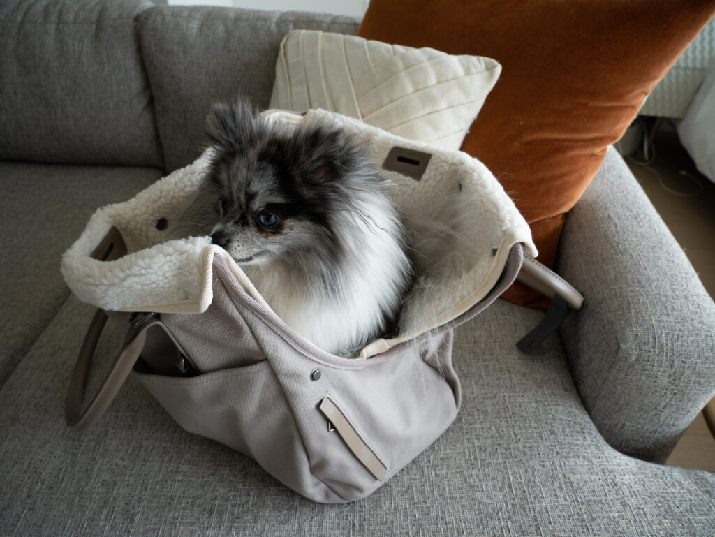 Puppy Handbag for Dog Mom Pet Carrier Bag Dog Lover Travel 