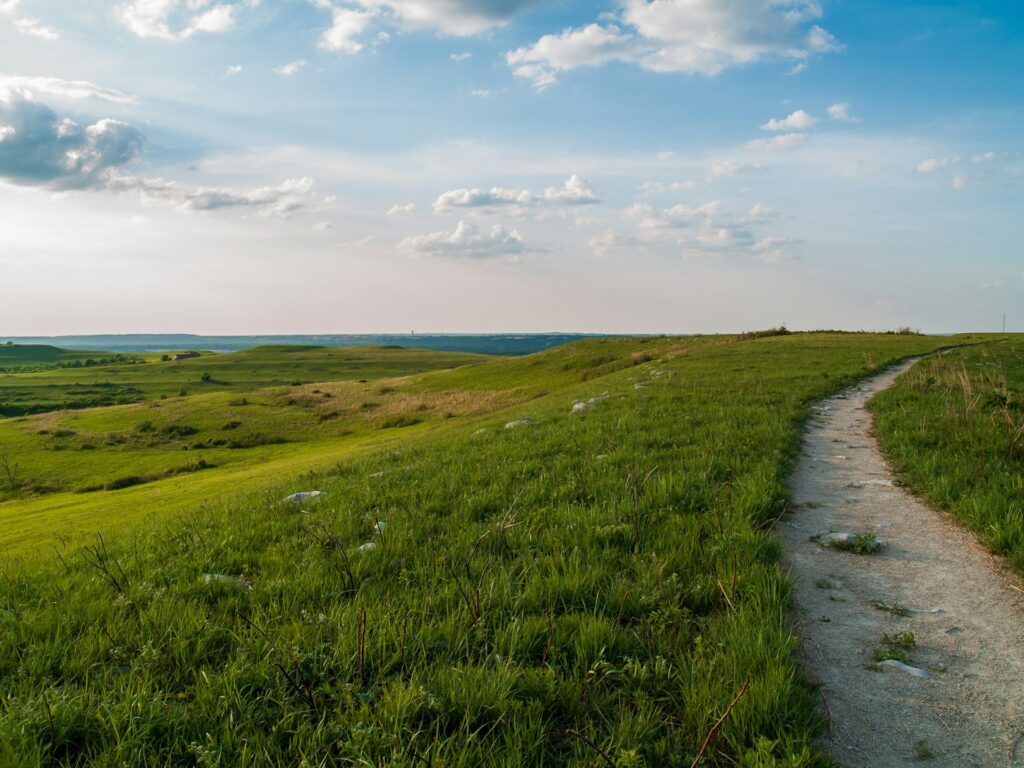 Green fields in Kansas