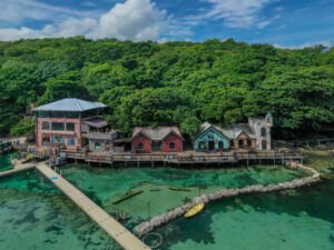 Dolphin Cove
