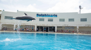Dolphinaris
