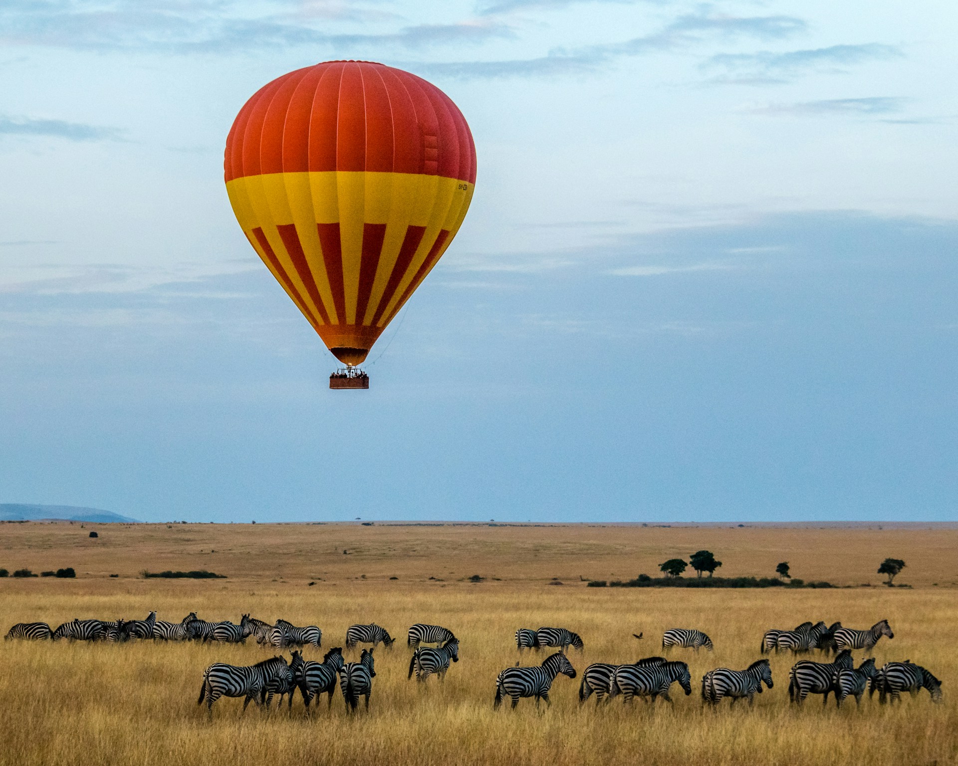 Top 5 Safari Destinations to Explore in Kenya