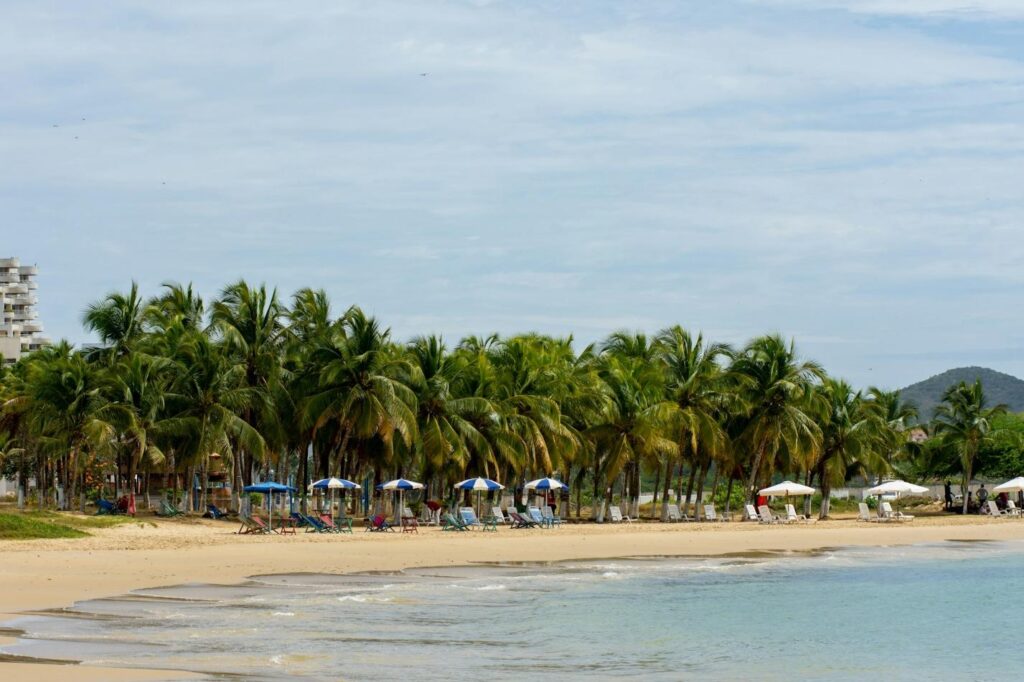 Palm fringed beach in the Caribbean