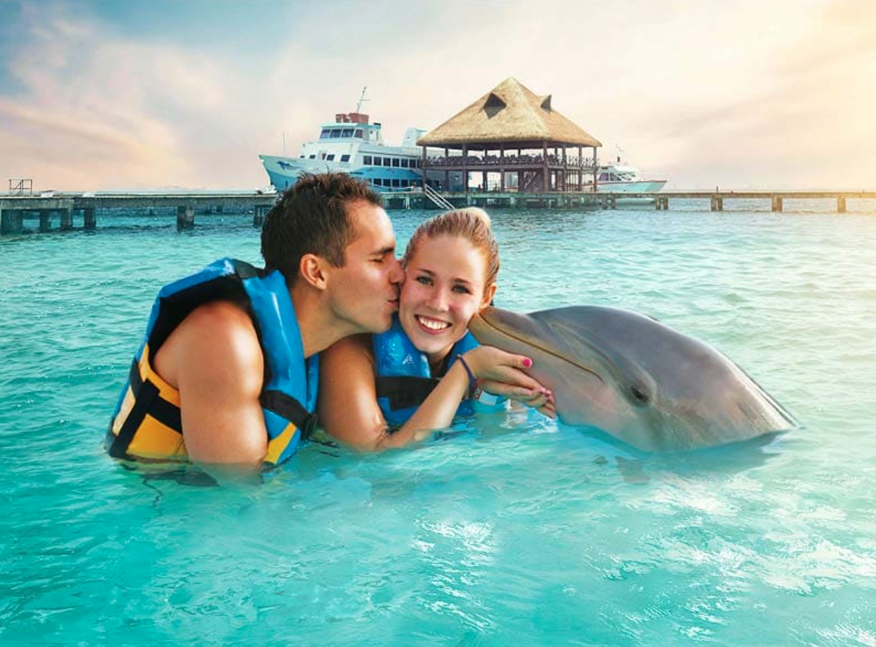 Discover an Unforgettable Experience at Dolphin Discovery Isla Mujeres
